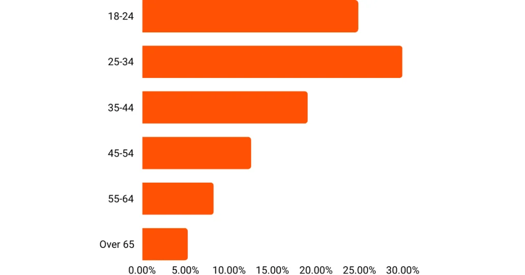 Google search Audience