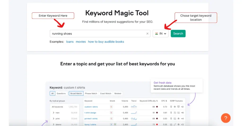 seo tool