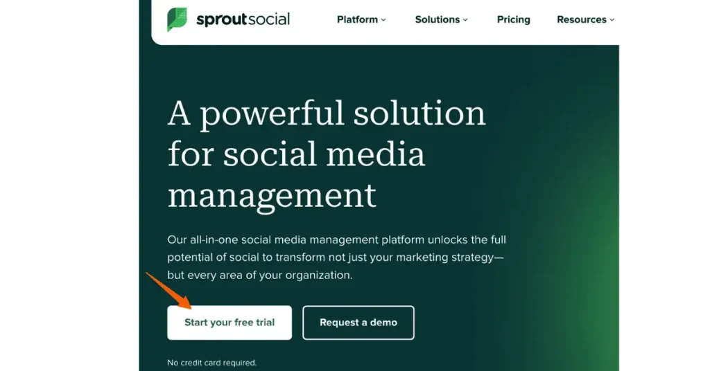 search engine results